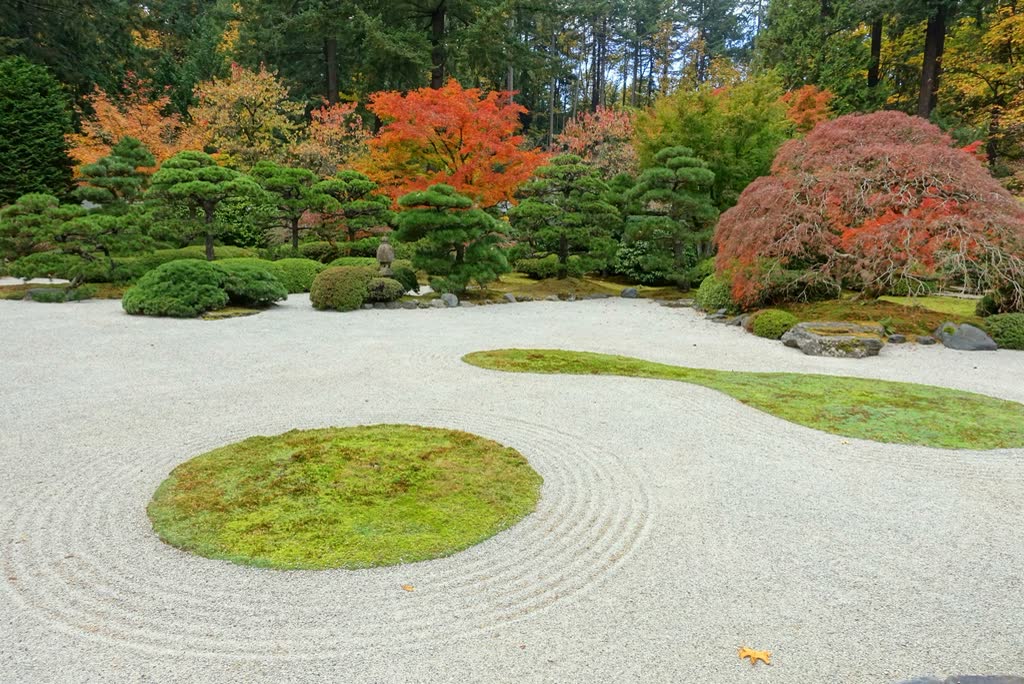 A raked gravel garden with rounded moss islands and maples beyond